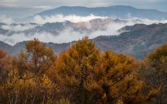 Autumnal Mountains - Fujiko Watt