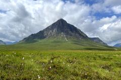 Buachaille Etive Mor - Maureen Rogers