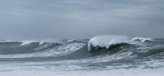 Dee Why Waves - Margaret Frankish