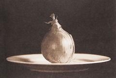 One Onion - Lyn Arnold