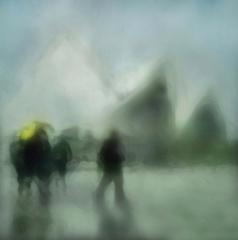 Rain at the Opera  - Peter Steele