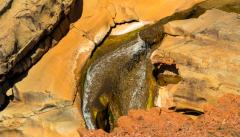 Rocks in the Pilbara - Alan Sutton