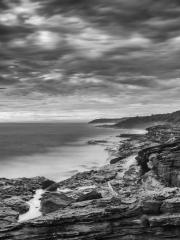 South from South Curly - Shane Clarkson