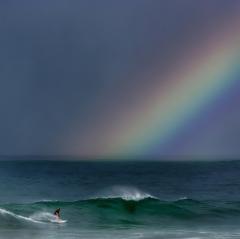 Surfing for Gold  - Peter Steele