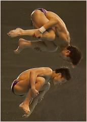 teamdiving - eric Lippey